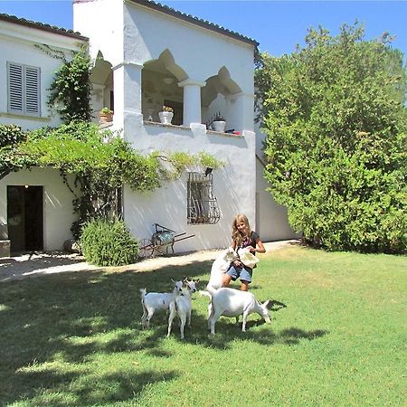 Agriturismo "Borgo Madonna Degli Angeli" - Charming Cottages In The Gardens ! Tocco da Casauria Exterior foto