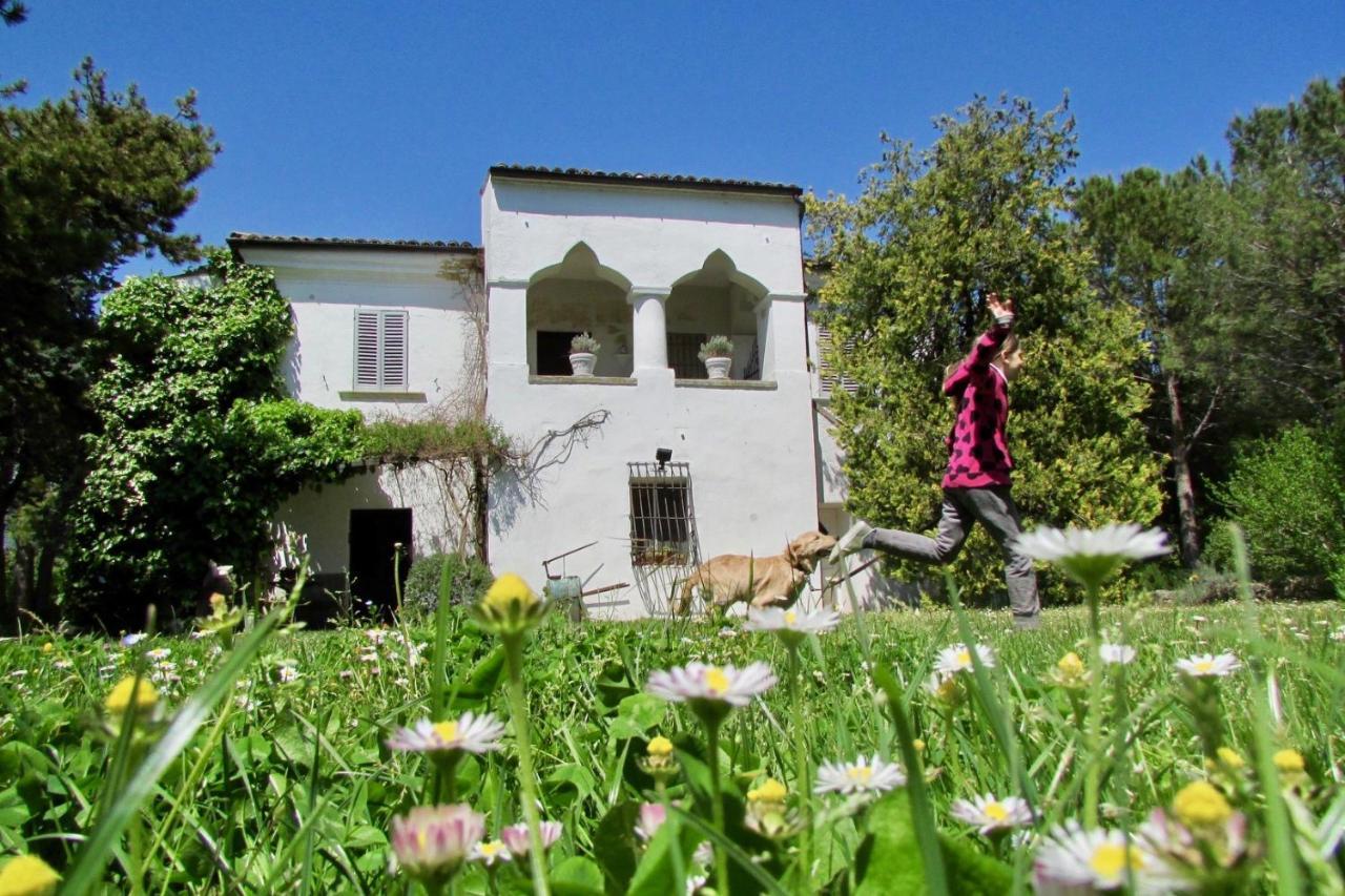 Agriturismo "Borgo Madonna Degli Angeli" - Charming Cottages In The Gardens ! Tocco da Casauria Exterior foto