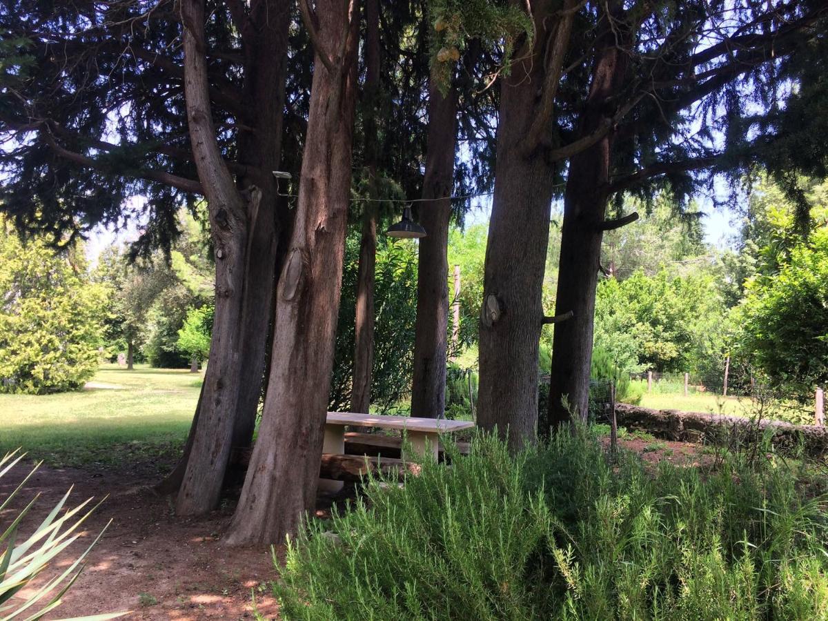 Agriturismo "Borgo Madonna Degli Angeli" - Charming Cottages In The Gardens ! Tocco da Casauria Exterior foto