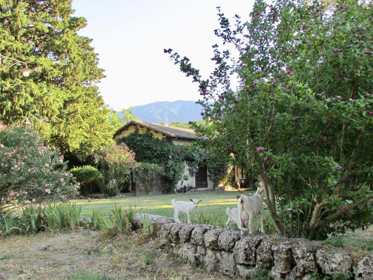 Agriturismo "Borgo Madonna Degli Angeli" - Charming Cottages In The Gardens ! Tocco da Casauria Exterior foto