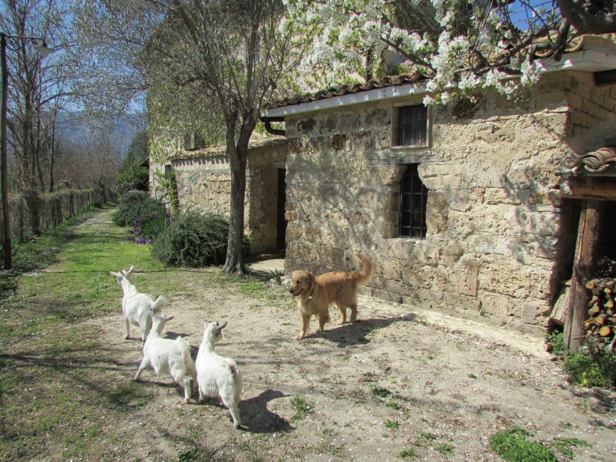Agriturismo "Borgo Madonna Degli Angeli" - Charming Cottages In The Gardens ! Tocco da Casauria Exterior foto