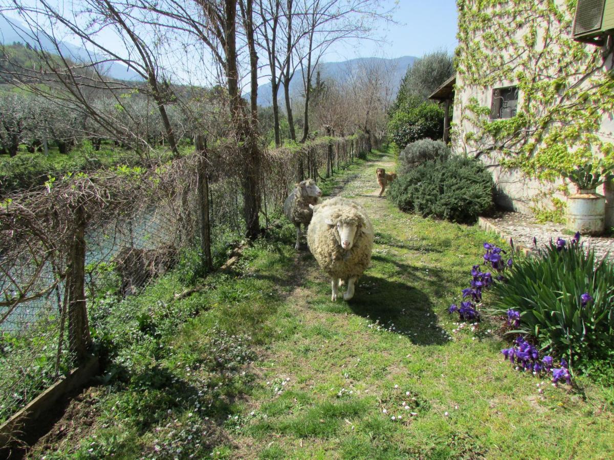 Agriturismo "Borgo Madonna Degli Angeli" - Charming Cottages In The Gardens ! Tocco da Casauria Exterior foto