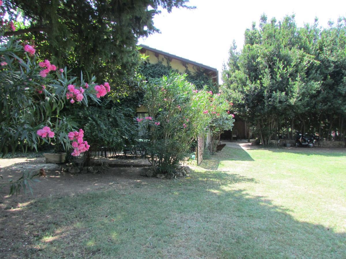Agriturismo "Borgo Madonna Degli Angeli" - Charming Cottages In The Gardens ! Tocco da Casauria Exterior foto