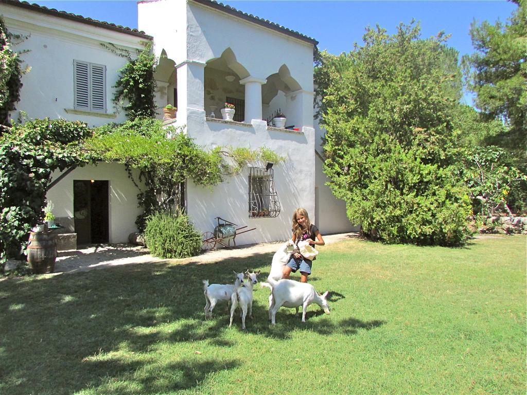 Agriturismo "Borgo Madonna Degli Angeli" - Charming Cottages In The Gardens ! Tocco da Casauria Exterior foto