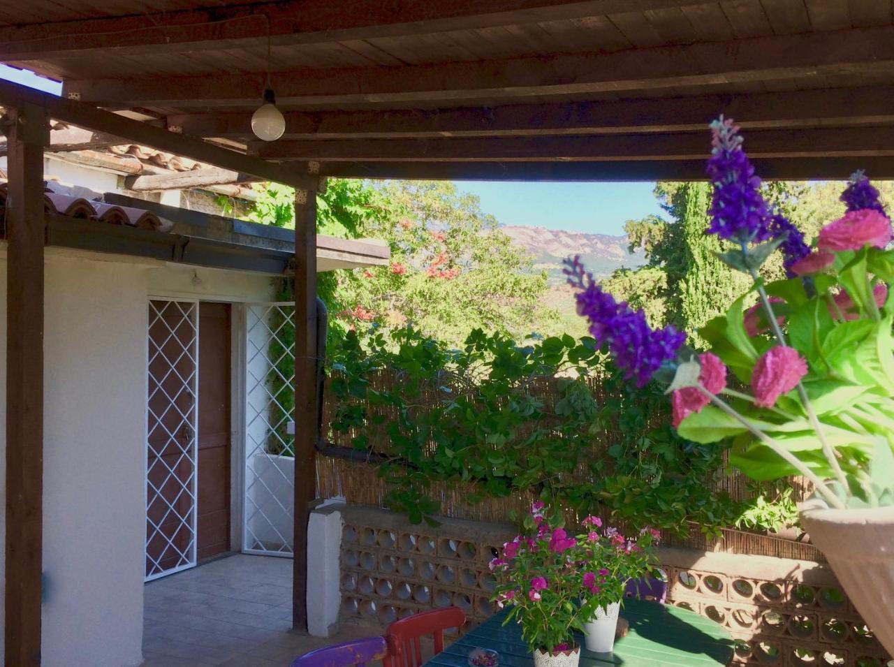 Agriturismo "Borgo Madonna Degli Angeli" - Charming Cottages In The Gardens ! Tocco da Casauria Exterior foto